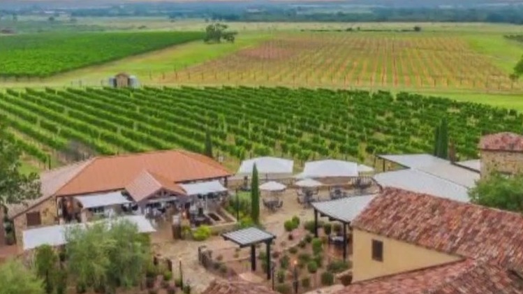 Grape Creek Vineyards: Upcoming events